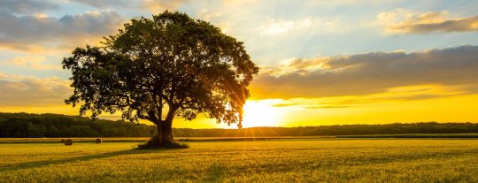 Thomas Greatorex & Sons