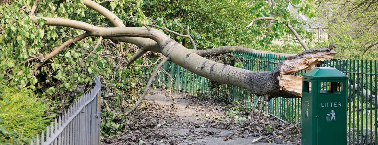 Severe winds